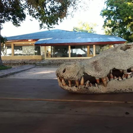Crocodile Park Bungalow カタラガマ エクステリア 写真