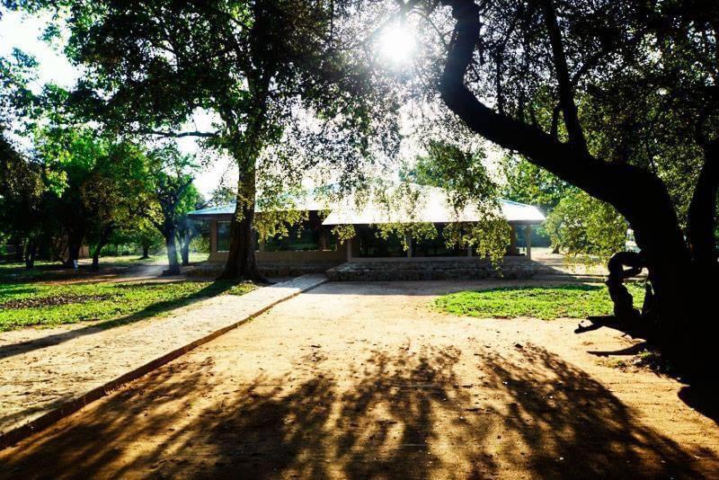 Crocodile Park Bungalow カタラガマ エクステリア 写真